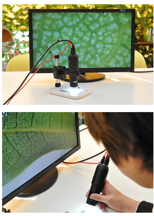 SnapCrab_NoName_2016-2-12_2-53-19_No-00