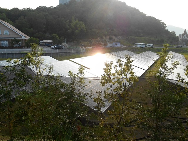 be0be_1462_290832a6cca9c46704b7a7d60f772a07