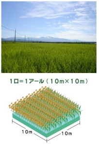 SnapCrab_NoName_2016-3-19_12-53-17_No-00