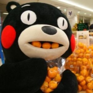 8e74e37fa582be54e1e84d5f4f97c324_400