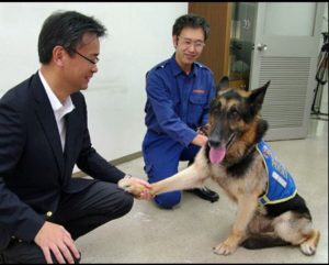 SnapCrab_NoName_2016-7-24_11-9-11_No-00