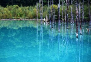 snapcrab_noname_2016-9-14_23-23-5_no-00