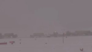 snapcrab_noname_2016-12-26_23-5-27_no-00