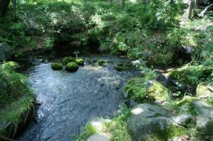 KONICA MINOLTA DIGITAL CAMERA