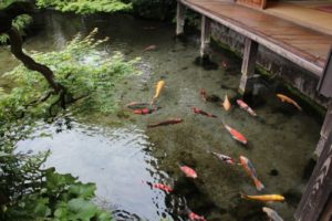 d0afe8a1d2ab398b3d77034863ef0063