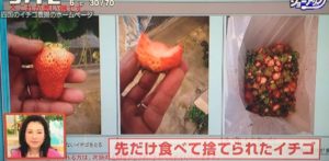 SnapCrab_NoName_2017-4-7_22-19-16_No-00