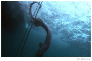 SnapCrab_NoName_2017-5-13_17-40-3_No-00