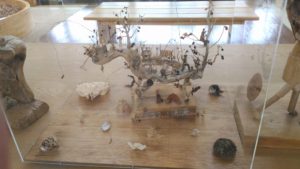 P_20170727_162117 (2)