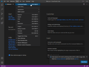 SnapCrab_Welcome - Visual Studio Code_2020-12-5_10-1-54_No-00