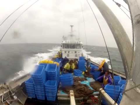 日本が海産資源を放流し維持しているのに周辺から奪う国