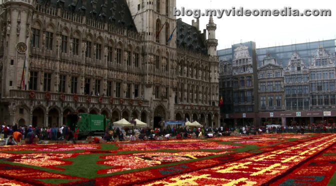 妻が言う！ベルギーの花カーペット一度物本見てみたい！