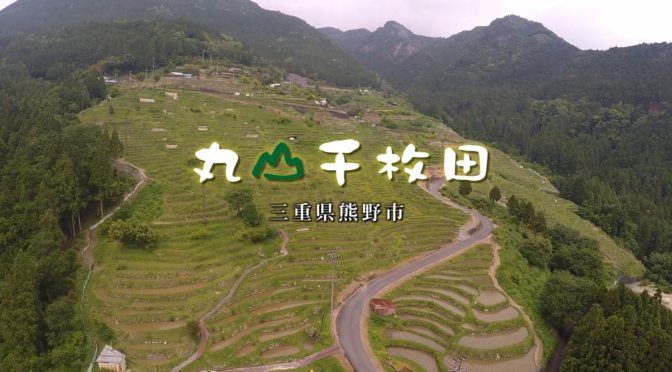 日本の情景っすね丸山千枚田虫送り綺麗っす