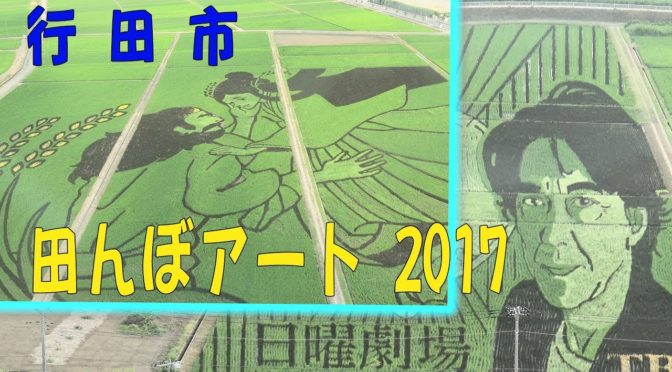 田んぼアートに陸王が見れるよって