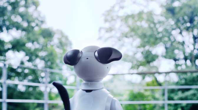 ソニーの「aibo」復活! っす
