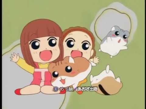 gyao:  ハムスターの生態や育て方まで分かる、動物観察アニメがあると