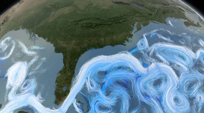 Cockburn Masters Swimming ClubのDaphneのアヒル隊長が出稼ぎに出て探しているようですよ