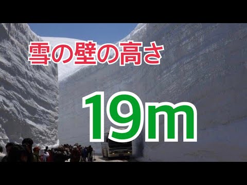 立山黒部アルペンルート、4月１５日に開通予定