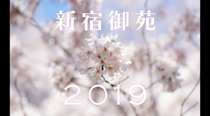 新宿御苑の桜吹雪 2019が非常に美しい