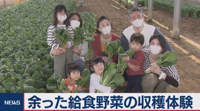余った給食野菜の収穫体験 楽しそうだ！