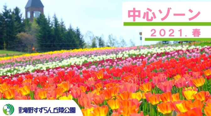 チューリップ・すずらんフェスタ:Tulip Suzuran Festa