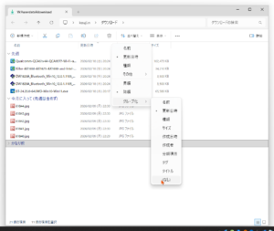 SnapCrab_Wuserdatadownload - エクスプローラー_2026-2-23_0-11-51_No-00